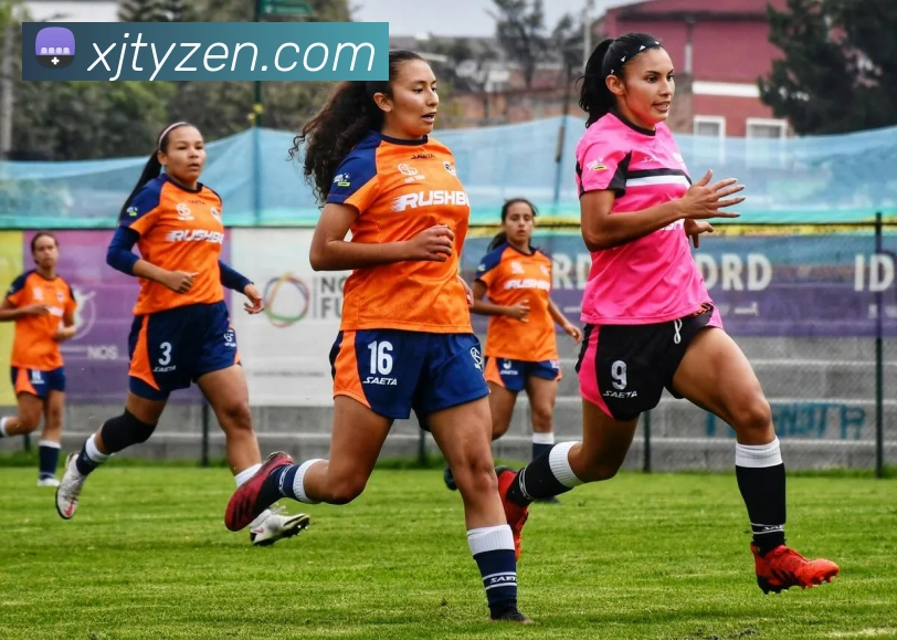 App Interface Preview